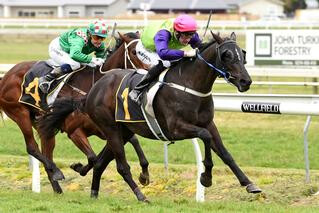 Waldorf (NZ) Shines in Ryder Stakes. Photo: Race Images Palmerston North